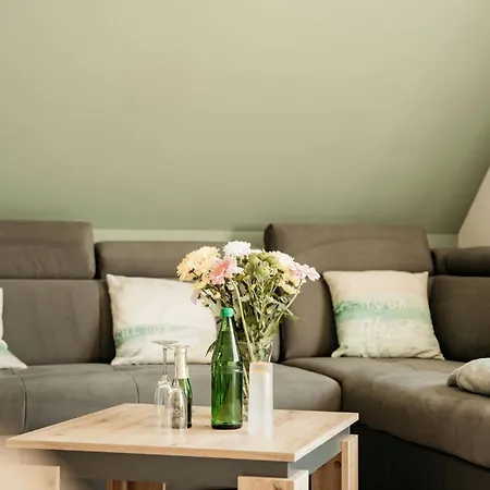 Hohner Seeblick 公寓 Hohn (Rendsburg-Eckernforde)